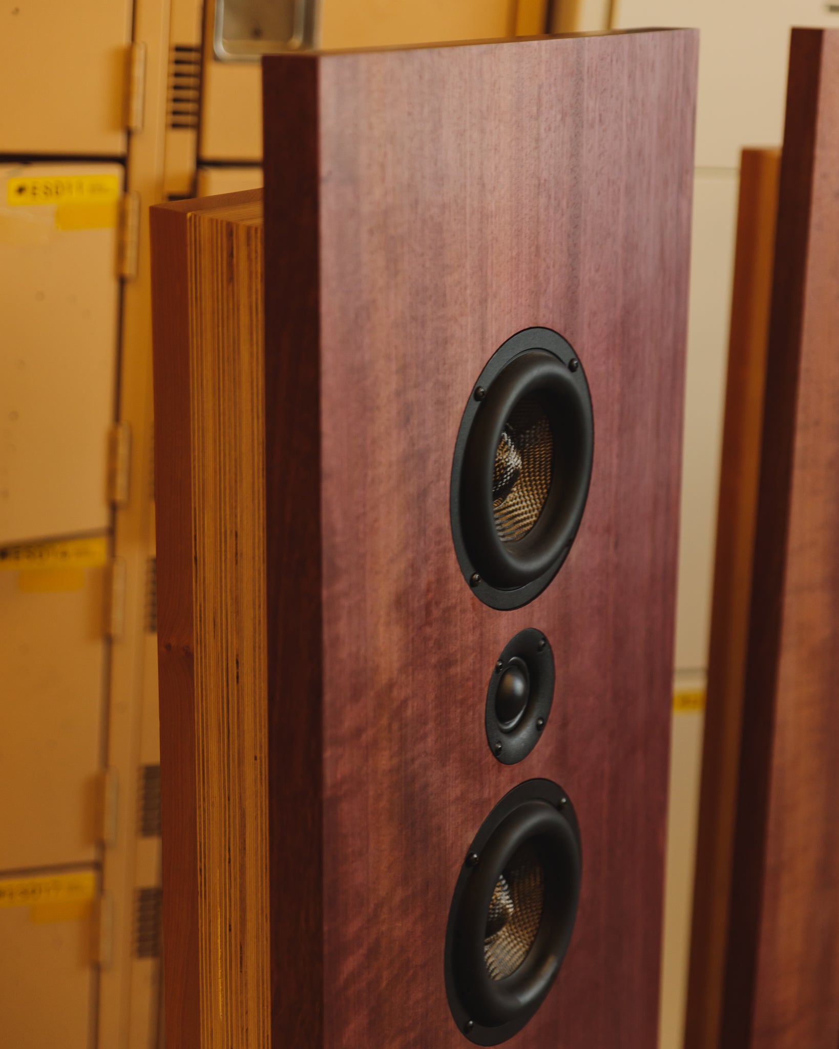 Rosemont - Purple Heart