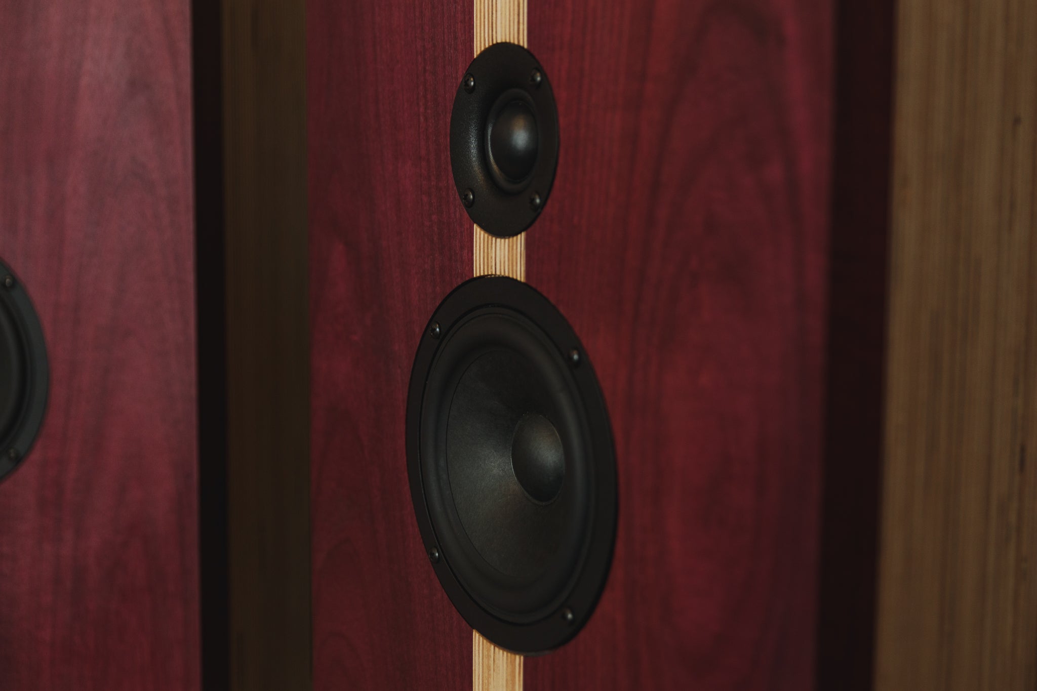 Rachel - Purple Heart & Birch